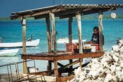 Windsurf Centre (RRD, Starboard) - Bonaire. Fisherman. 